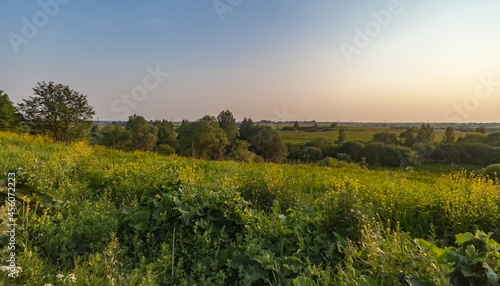 Landscape with field  wildflowers  bushes  grass  trees against the sky with the setting sun