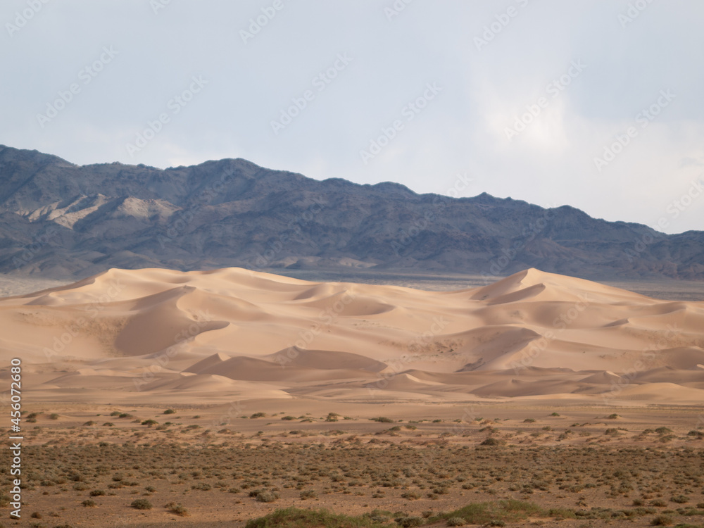 Fototapeta premium khongoryn Els sand dunes landscape