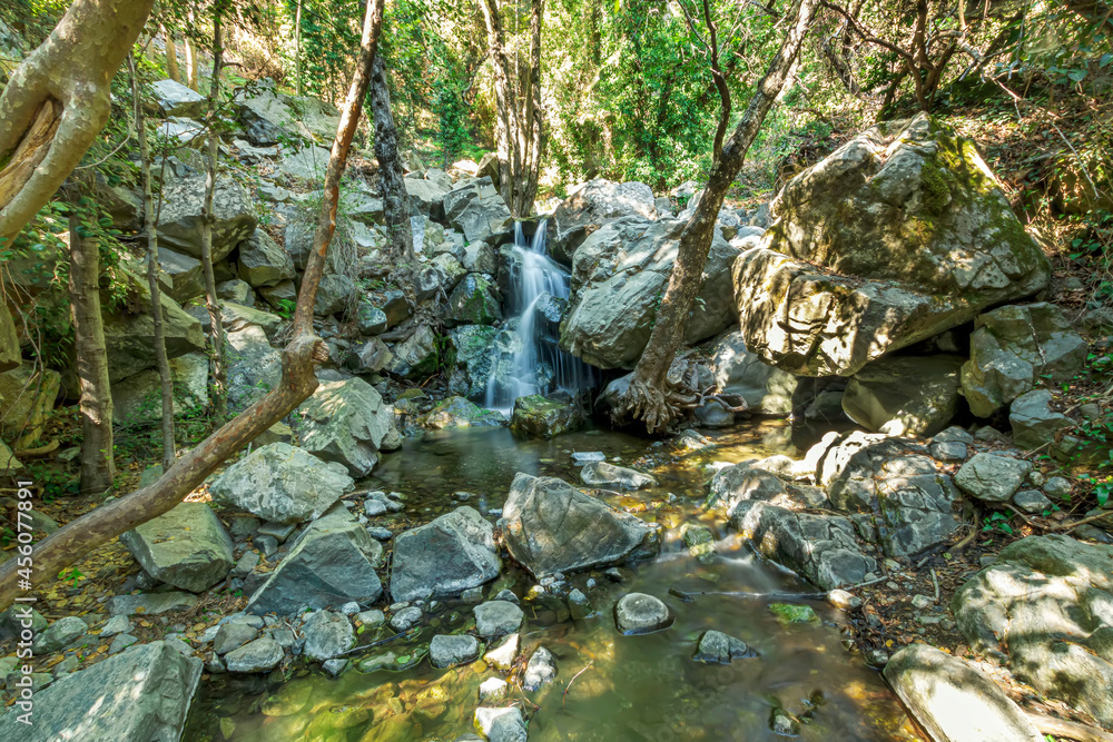 picturesque view at a mountain river flowing between old trees, stones and rocks with grass on the steep sides of stream picturesque view at a mountain river flowing between old trees, stones and rocks with grass on the steep sides of stream