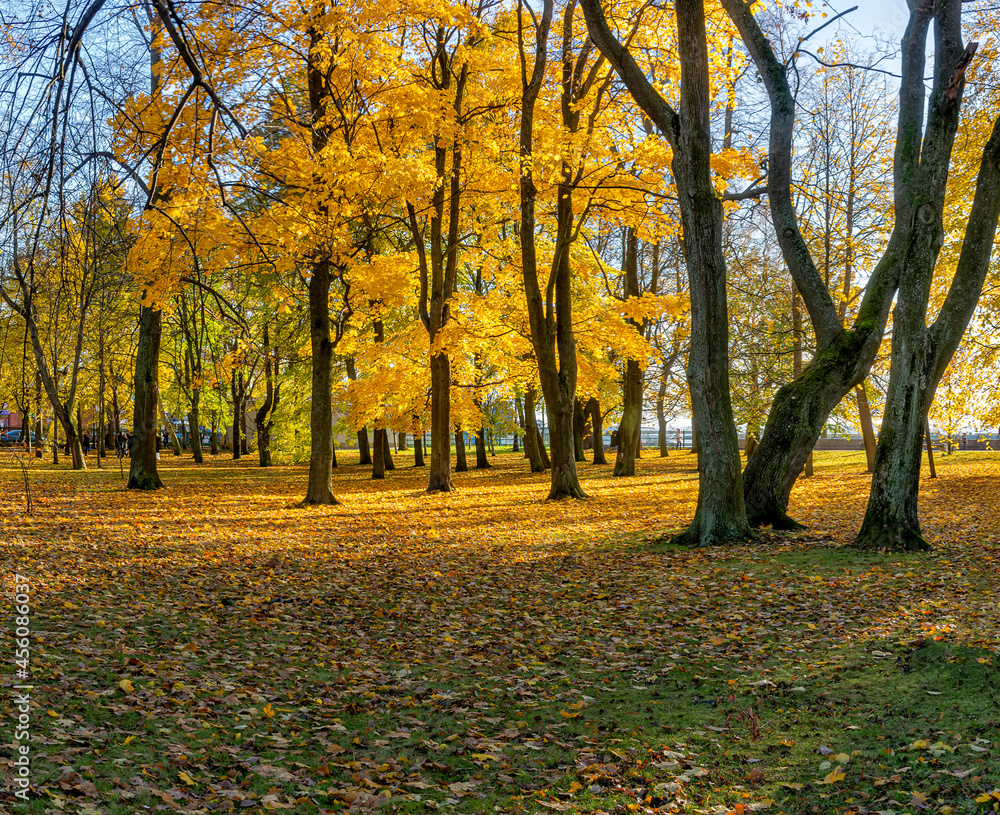 Petrovsky Park is an old park in Kronstadt. The author of the project is the military governor F. F. Bellingshausen. Petrovsky Park is an old park in Kronstadt. The author of the project is the military governor F. F. Bellingshausen.