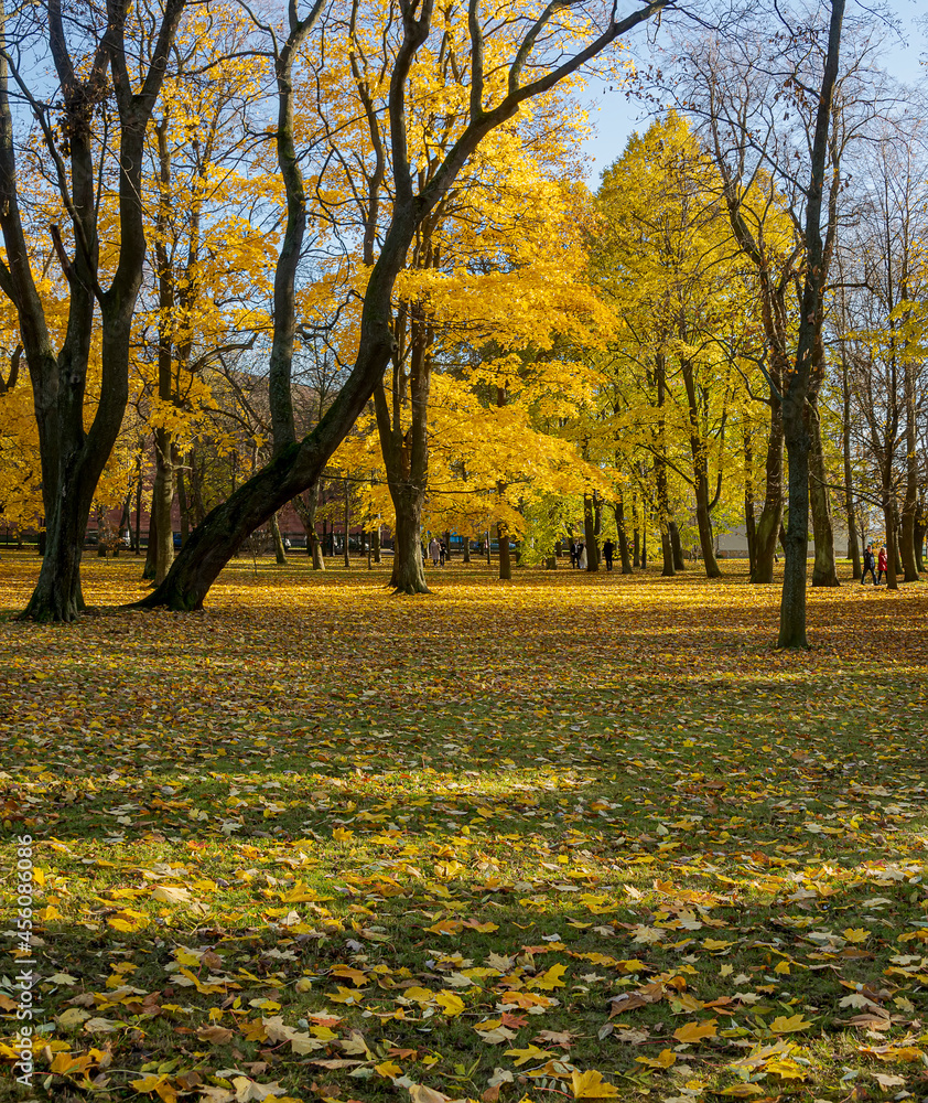 Petrovsky Park is an old park in Kronstadt. The author of the project is the military governor F. F. Bellingshausen.