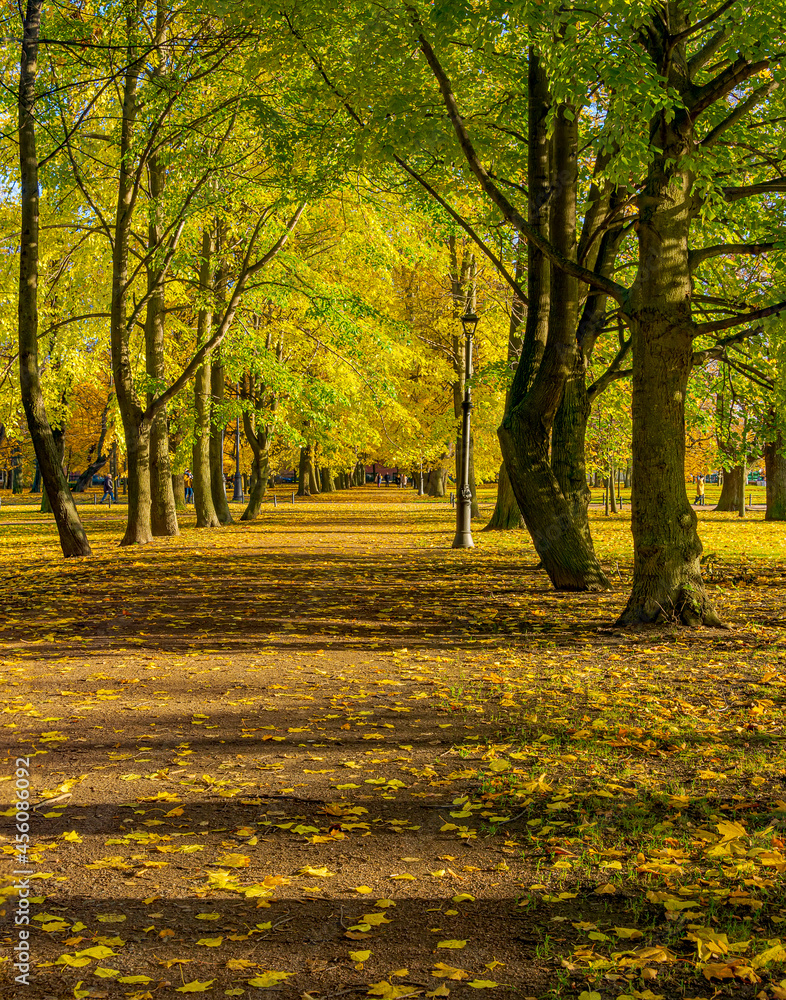Petrovsky Park is an old park in Kronstadt. The author of the project is the military governor F. F. Bellingshausen. Petrovsky Park is an old park in Kronstadt. The author of the project is the military governor F. F. Bellingshausen.