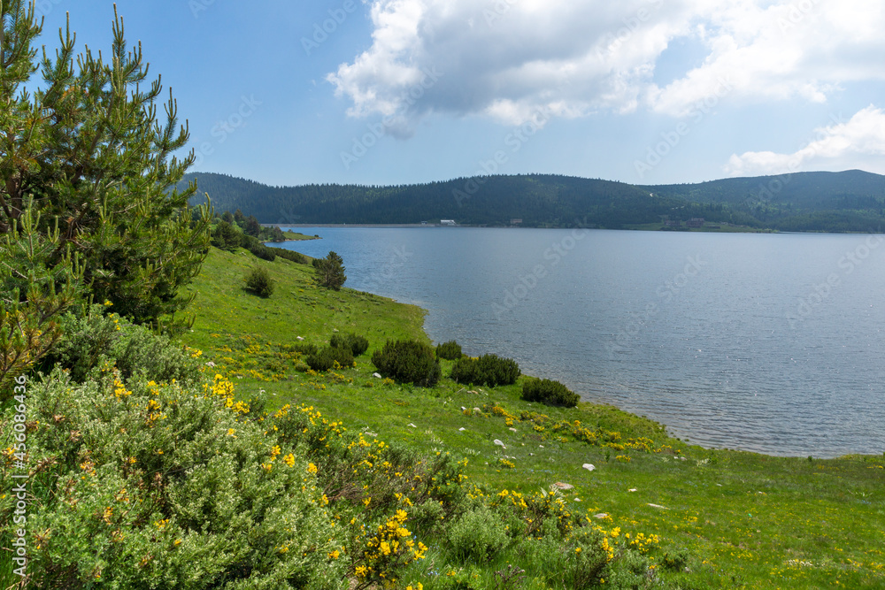 Fototapeta premium landscape of Belmeken Dam, Rila mountain, Bulgaria