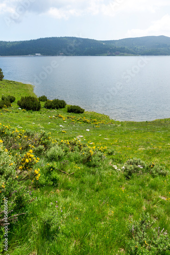 landscape of Belmeken Dam, Rila mountain, Bulgaria