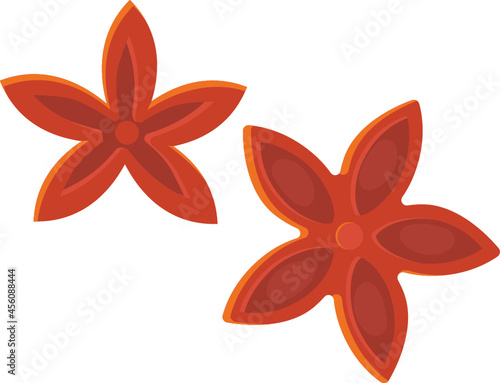 Star anise spice illustration isolated on white background in flat cartoon style. Food ingredient concept