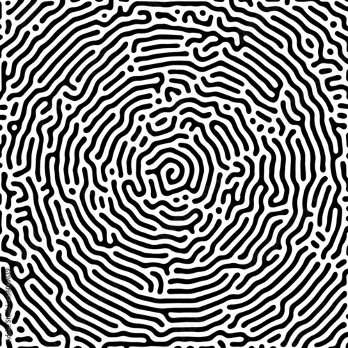 Vector black and white organic rounded lines pattern.