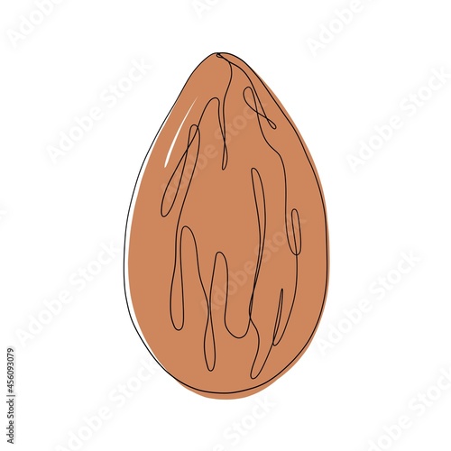 One continuous line hand drawn almond with brown color. Vector minimalist illustration isolated on white background. 