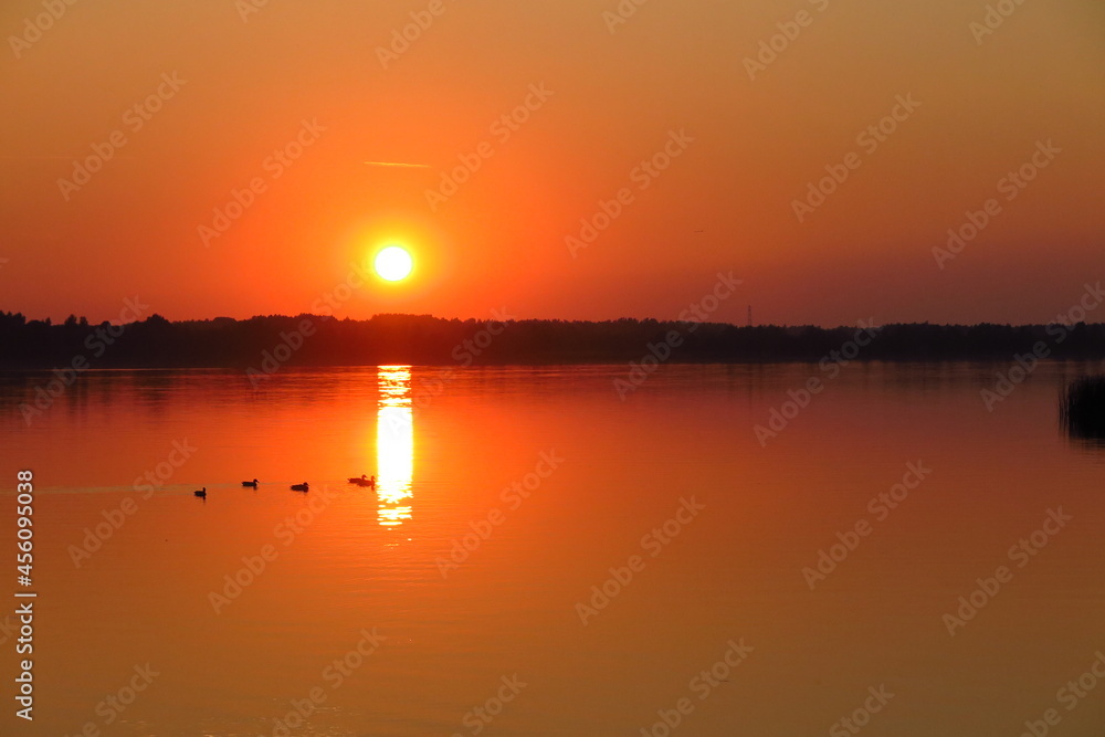 Naklejka premium sunset over the lake