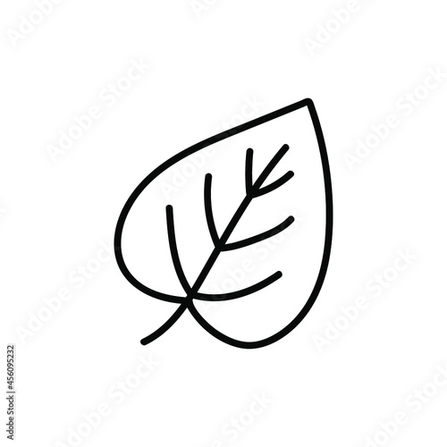 Doodle-a linden leaf icon. Contour image of the fallen leaves of a tree. Simple black drawing of plants for stickers, decor, postcards, badges, coloring books, logos. Vector clipart of plants