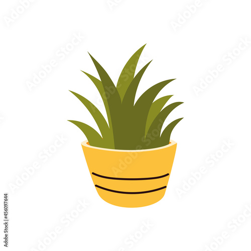 houseplant greenery decoration