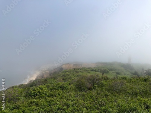 Foggy cliff