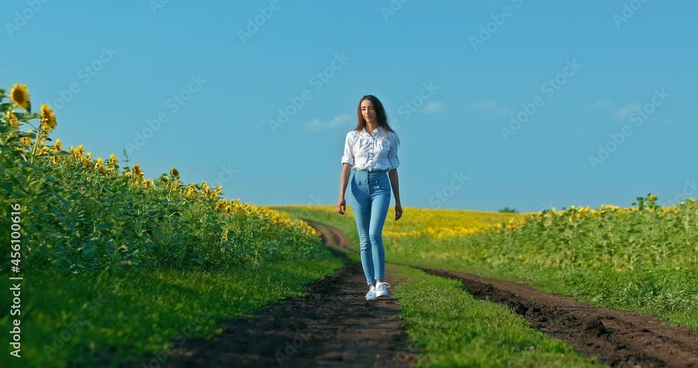 Beautiful girl is walking along a path in a sunflower field. Romantic walk in a golden field with sunflowers, a beautiful rural landscape. 4k, ProRes Beautiful girl is walking along a path in a sunflower field. Romantic walk in a golden field with sunflowers, a beautiful rural landscape. 4k, ProRes