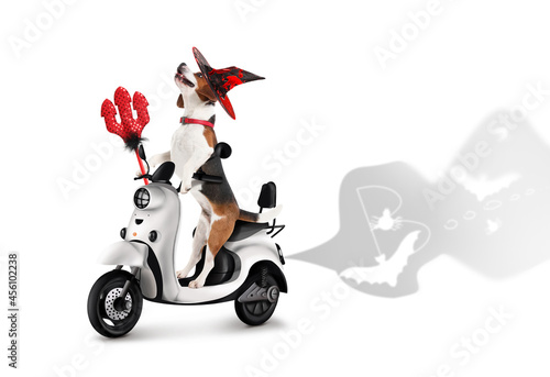 Funny dog with Halloween de...