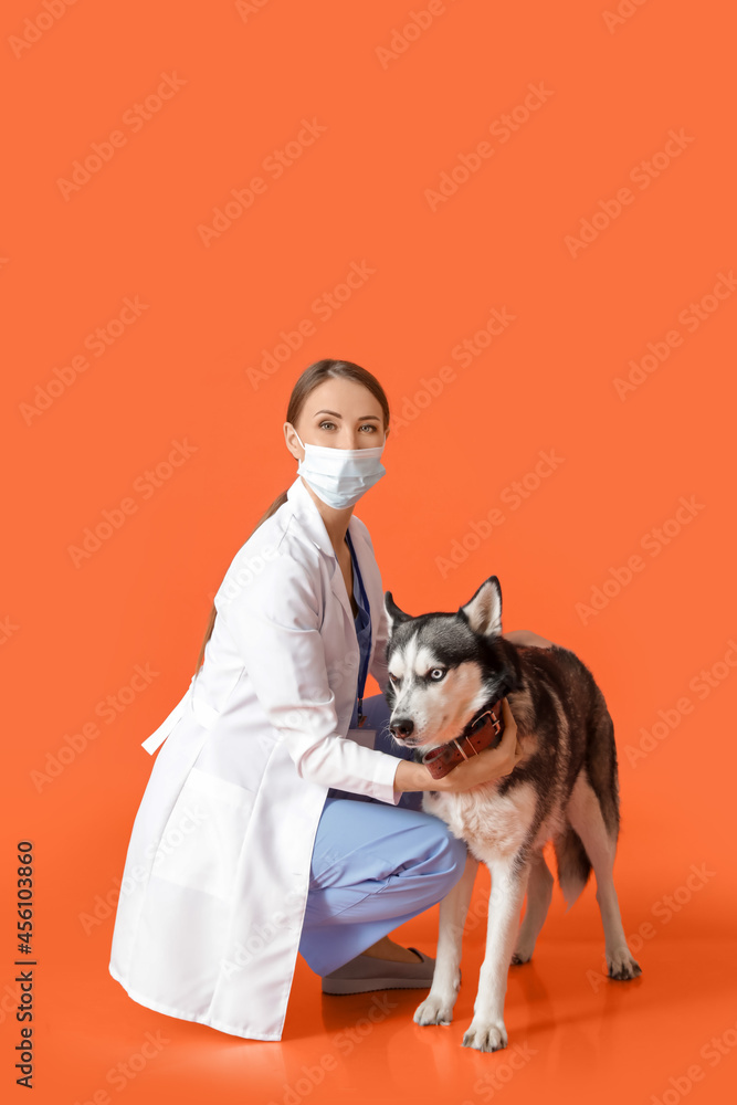 Veterinarian with cute dog on color background Veterinarian with cute dog on color background
