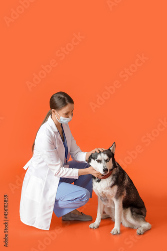Veterinarian with cute dog ...