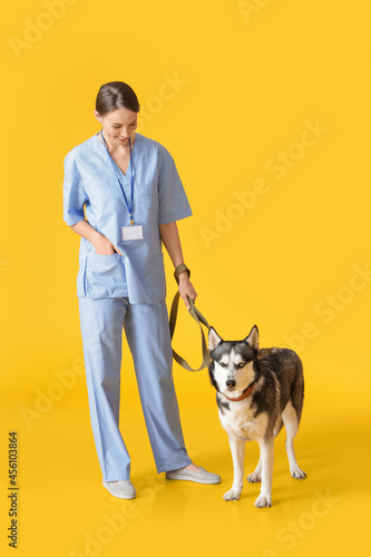 Veterinarian with cute dog ...
