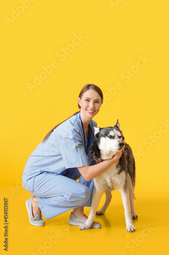 Veterinarian with cute dog ...