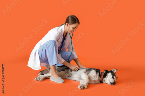 Veterinarian with cute dog ...