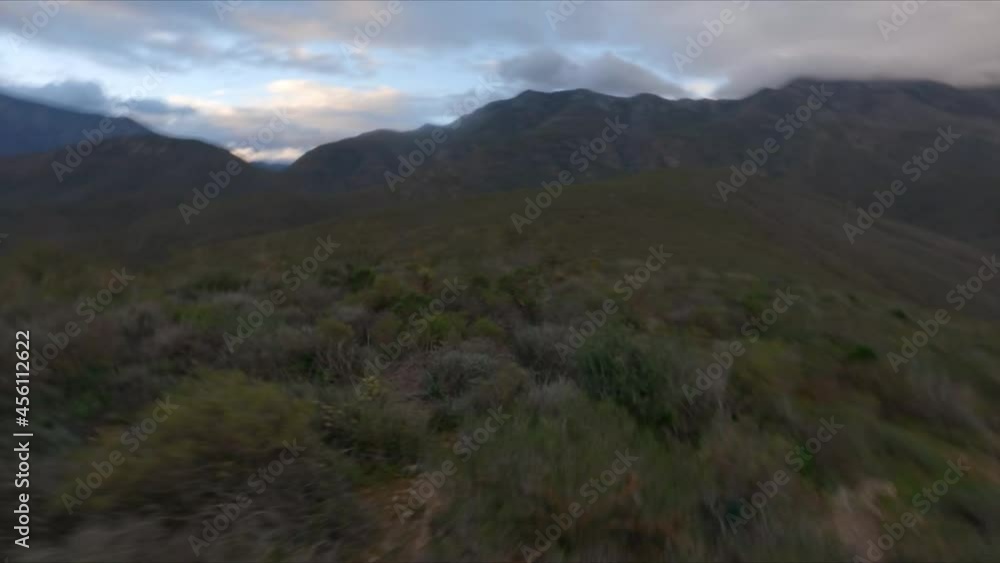 Flying over the wilderness of South Africa at sunset -FPV -Aerial Flying over the wilderness of South Africa at sunset -FPV -Aerial