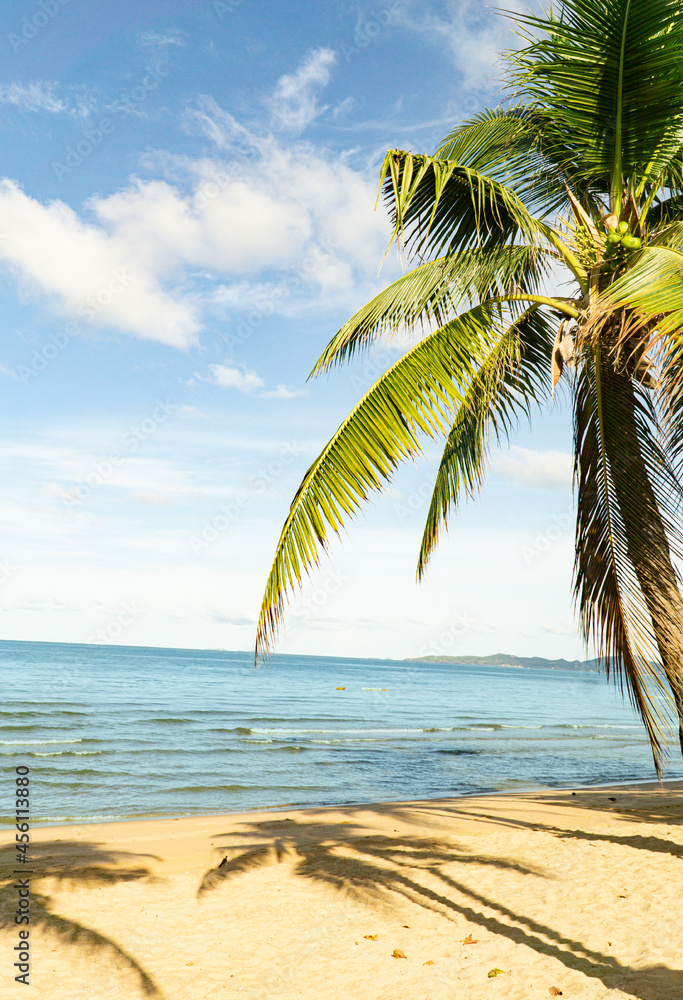 Fototapeta premium Tropical vacation paradise with white sandy beaches and swaying palm trees.
