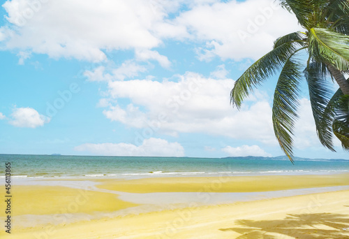Tropical beach with coconut tree   copyspace for text. Concept of summer relaxation