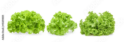 fresh green lettuce salad leaves on white background