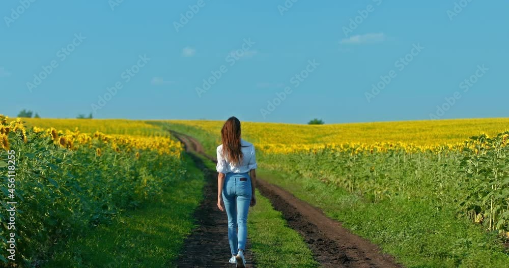 Slender girl is walking along the road between two blooming fields, a romantic walk. Girl in jeans is walking along a rural road, a beautiful landscape. Rear view. Rear view. 4k, ProRes Slender girl is walking along the road between two blooming fields, a romantic walk. Girl in jeans is walking along a rural road, a beautiful landscape. Rear view. Rear view. 4k, ProRes