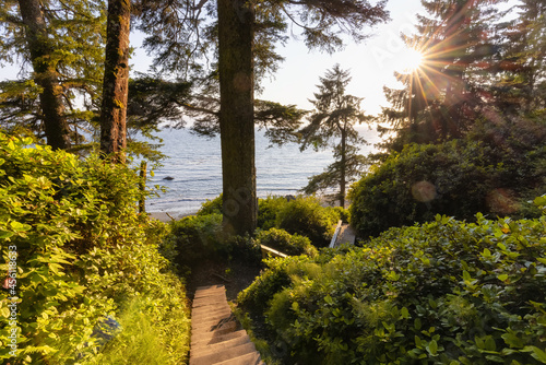 Fototapeta Naklejka Na Ścianę i Meble -  Hiking Path to Mystic Beach in the Vibrant Rainforest and colorful green trees on Juan de Fuca Trail. Located near Victoria, Vancouver Island, British Columbia, Canada.