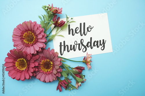 Hello Thursday typography text with daisy flowers on blue background