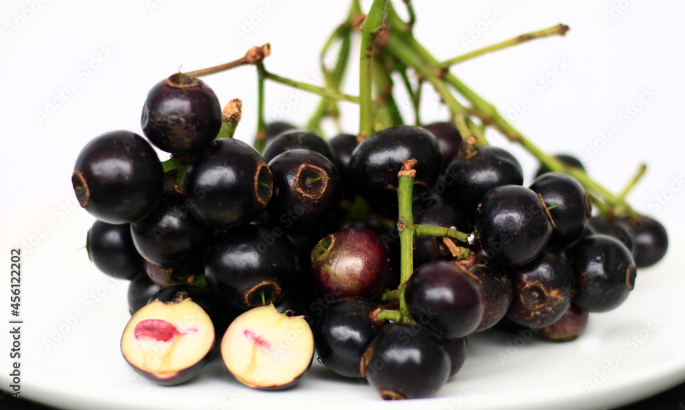Gowok fruit or Syzygium polycephalum on white background. Commonly known as kupa or kepa in Indonesia. Gowok fruit or Syzygium polycephalum on white background. Commonly known as kupa or kepa in Indonesia.