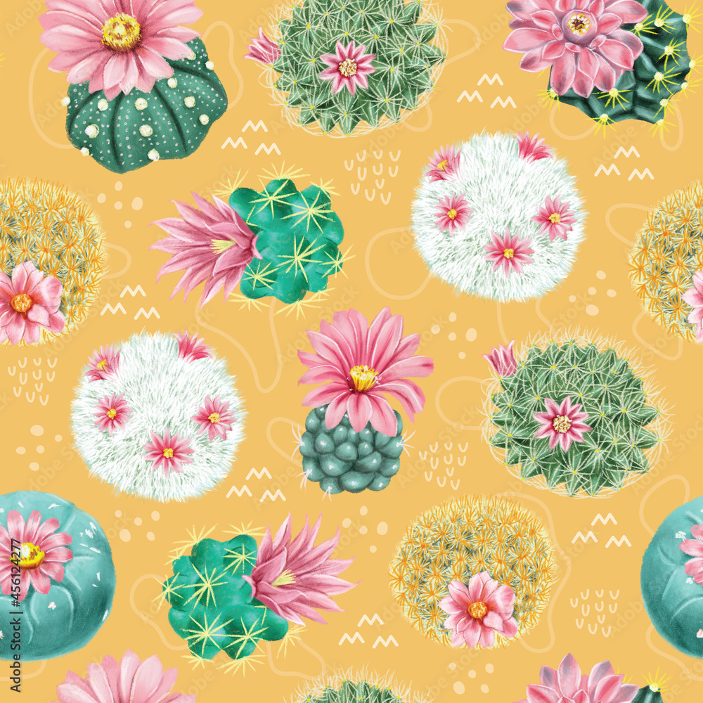 Flower of Cactus ,cactus, Cactus on a background, Cactus pattern ,flower , garden cactuses, cacti flower and tropical home plants Flower of Cactus ,cactus, Cactus on a background, Cactus pattern ,flower , garden cactuses, cacti flower and tropical home plants