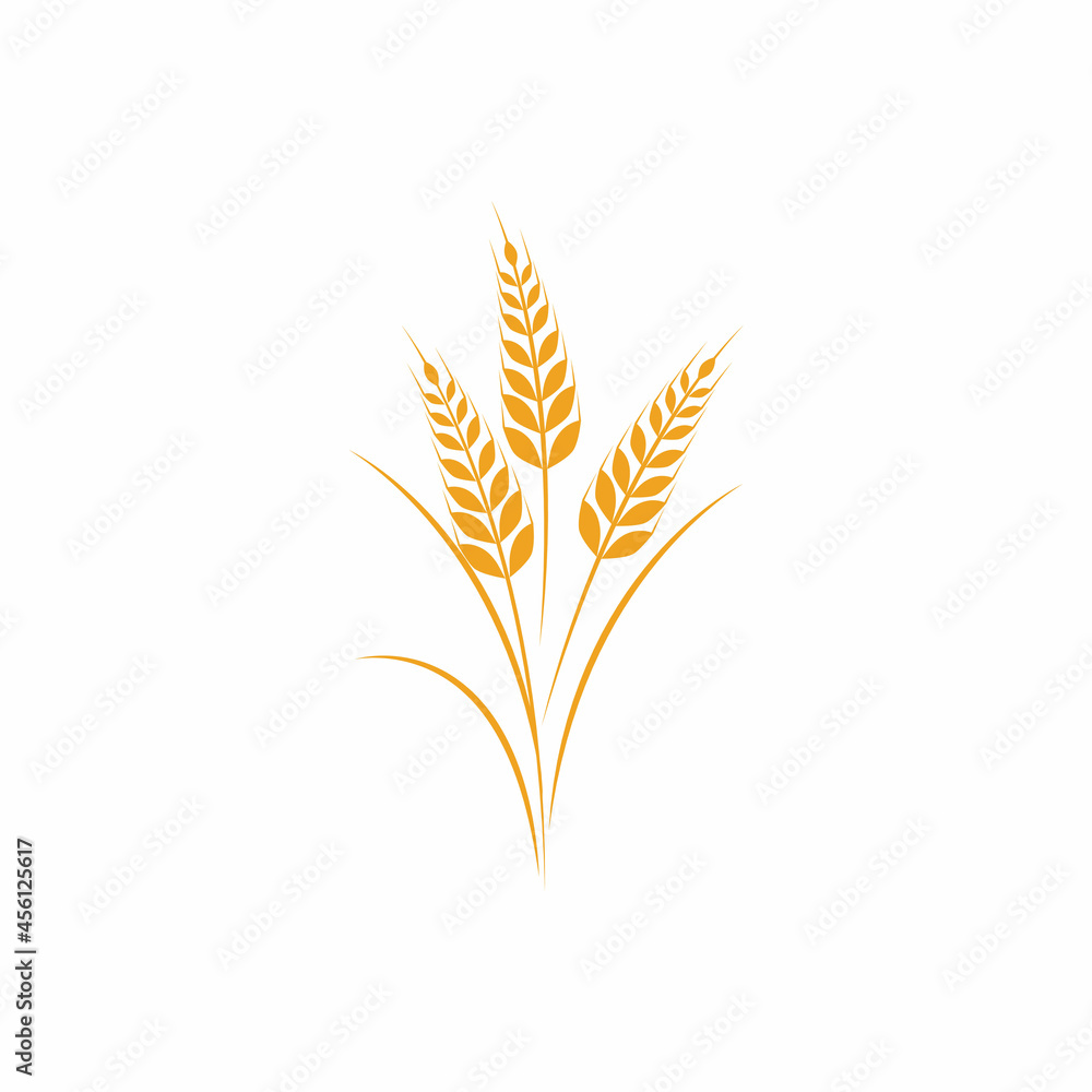 Agriculture wheat vector icon design Agriculture wheat vector icon design