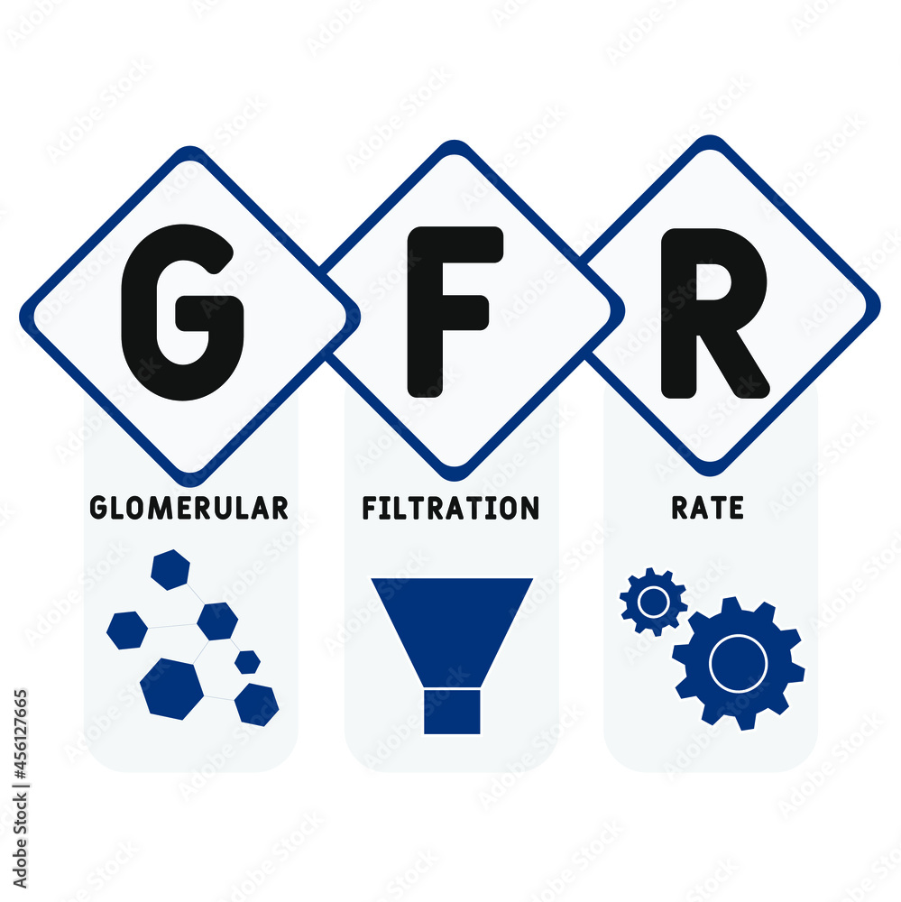GFR - Glomerular Filtration Rate acronym. medical concept background. vector illustration concept with keywords and icons. lettering illustration with icons for web banner, flyer, landing GFR - Glomerular Filtration Rate acronym. medical concept background. vector illustration concept with keywords and icons. lettering illustration with icons for web banner, flyer, landing