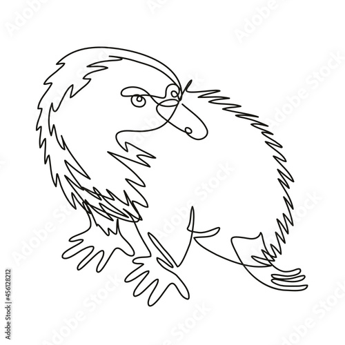 Continuous line drawing illustration of an Echidna or spiny anteater side view done in mono line or doodle style in black and white on isolated background. 