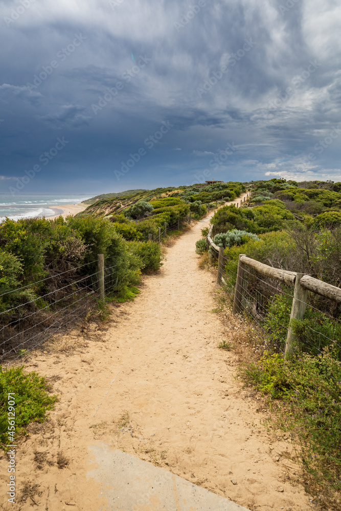 A sandy walking track winding through vegetation under a dark sky A sandy walking track winding through vegetation under a dark sky