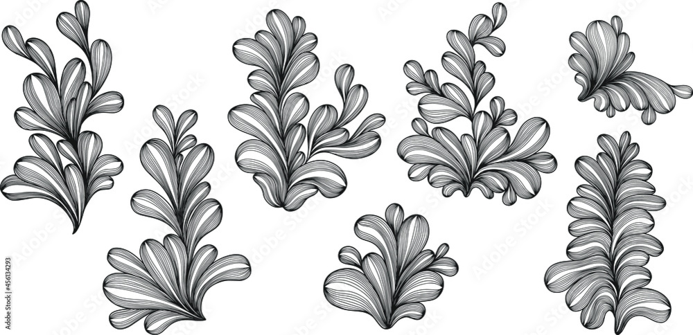 Illustration of leaves . Abstract composition. Vector eps 10