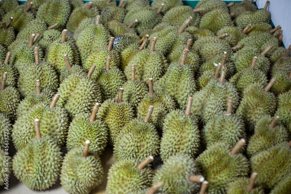 Group of durian. Blurred foreground and background. Group of durian. Blurred foreground and background.