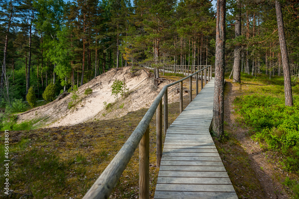 Narrow wooden path over white dune winding through forest.
