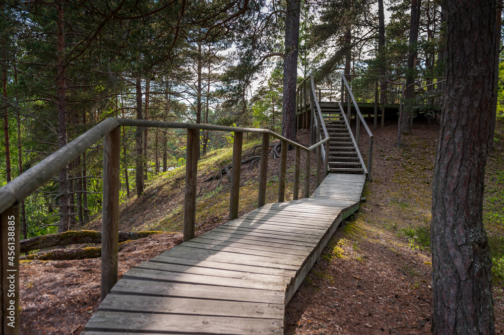 Wooden path winding through forest. Stairs leading to the observation deck. Wooden path winding through forest. Stairs leading to the observation deck.