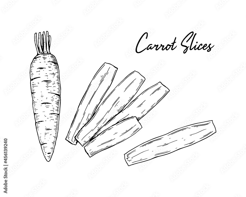 Hand drawn carrot slices. Vector illustration in sketch style Hand drawn carrot slices. Vector illustration in sketch style