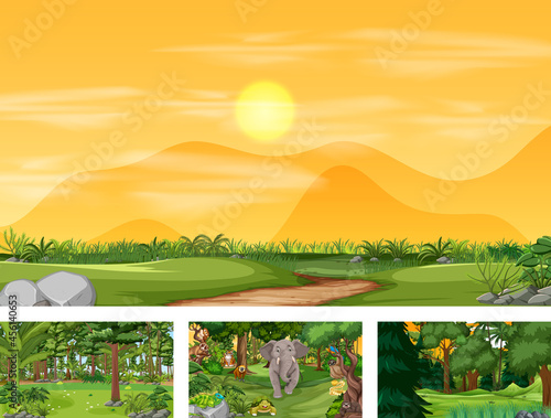 Photography Different nature scenes of forest and rainforest with wild animals