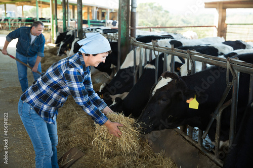 Smiling female farmer feeding cows on dairy farm.