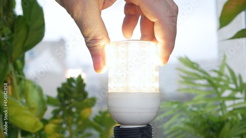 Turning ON the Light in the Room, Screwing in the Socket a LED Light Bulb.