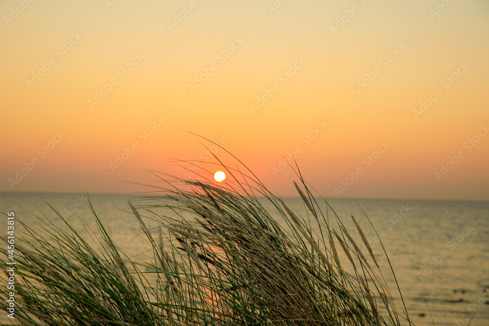 Sonnenuntergang am Meer in einer Düne Sonnenuntergang am Meer in einer Düne