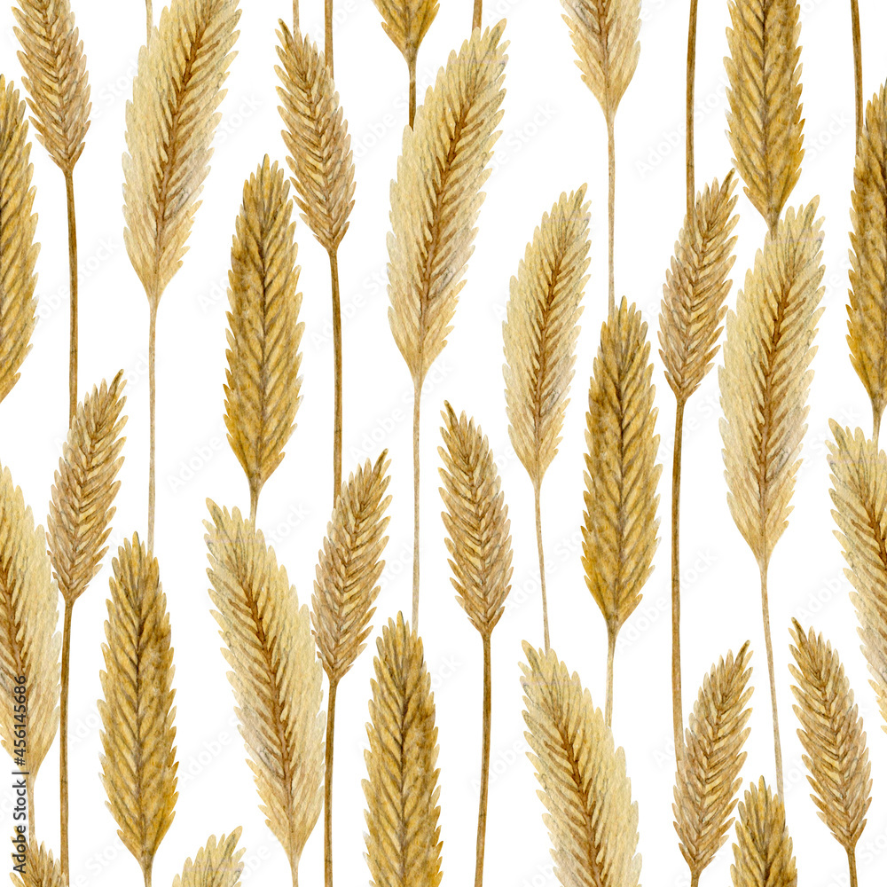 Seamless pattern of dry wheat spikelets on a white background. Cozy textile design. Fabric and wallpaper natural texture. Ripe grain harvest. Golden hand-drawn rye field. Rustic boho style Seamless pattern of dry wheat spikelets on a white background. Cozy textile design. Fabric and wallpaper natural texture. Ripe grain harvest. Golden hand-drawn rye field. Rustic boho style
