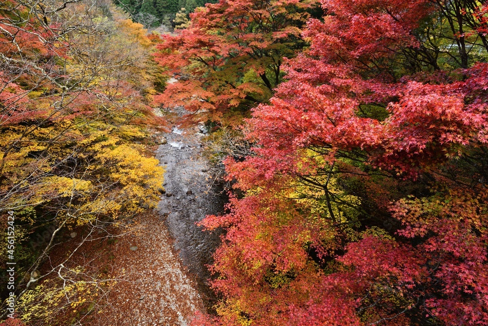 Oashi valley, Kanuma, Tochigi, in autumn Oashi valley, Kanuma, Tochigi, in autumn