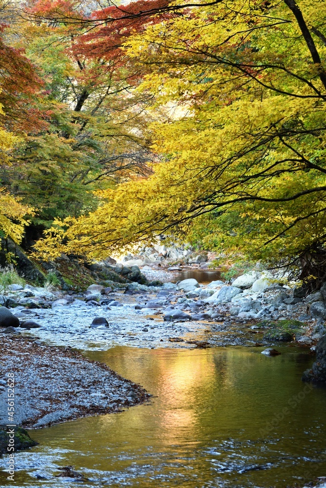 Oashi valley, Kanuma, Tochigi, in autumn Oashi valley, Kanuma, Tochigi, in autumn