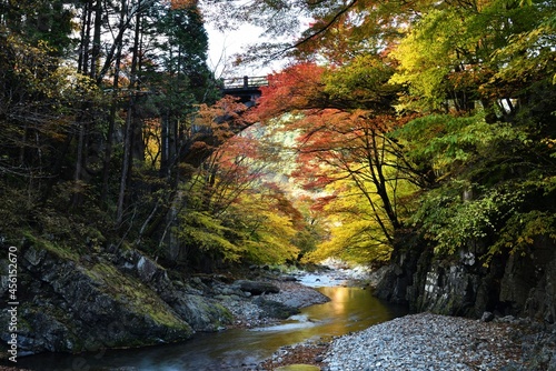 Oashi valley, Kanuma, Tochigi, in autumn photo