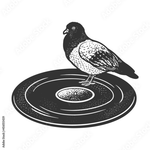 dove pigeon on vinyl record music disc sketch engraving vector illustration. T-shirt apparel print design. Scratch board imitation. Black and white hand drawn image.