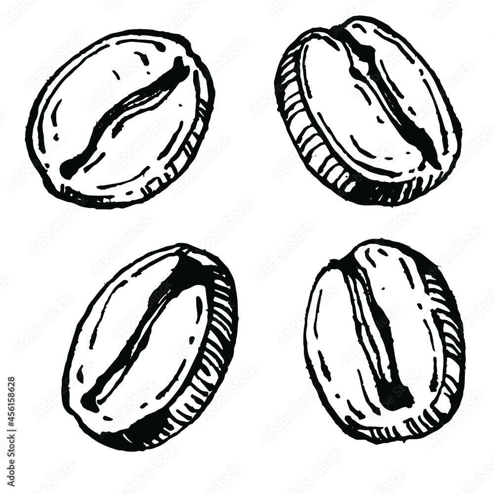 Obraz premium Coffee tree and beans in graphic style hand draw on white background. Isolated object with engraved style illustration. The best for design logo, menu, label, icon, stamp.